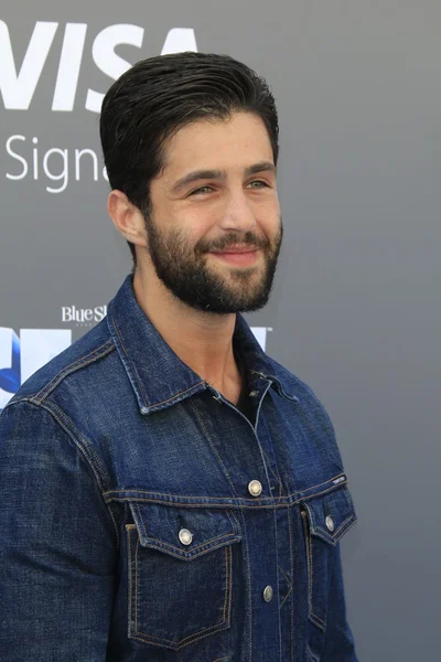 Aktor Josh Peck — Zdjęcie stockowe