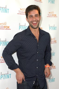 Aktör Josh Peck 