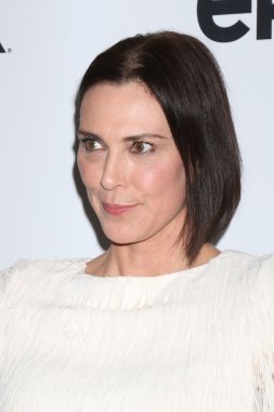  aktris Michelle Forbes