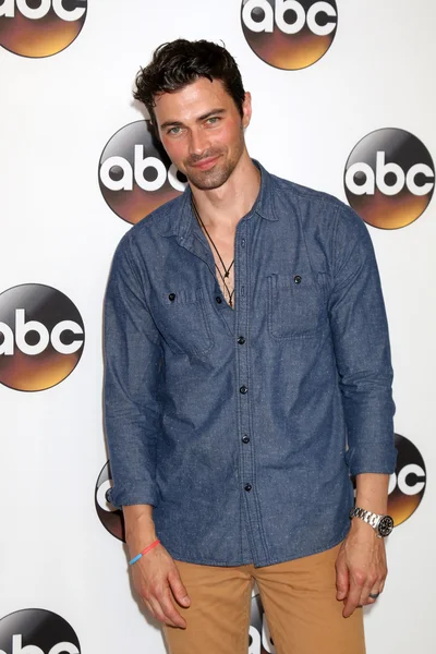 Acteur Matt Cohen — Stockfoto