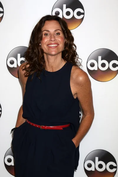 Actress Minnie Driver — Stock Photo, Image