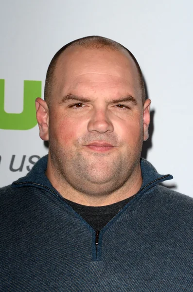 Actor Ethan Suplee — Stock Photo, Image