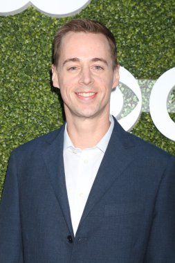 aktör Sean Murray
