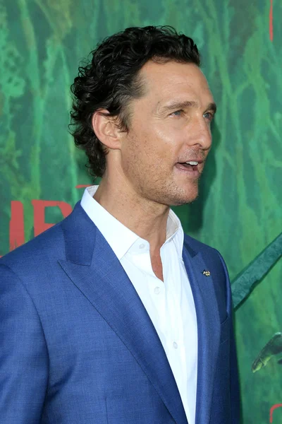 Actor Matthew McConaughey — Stock Photo, Image