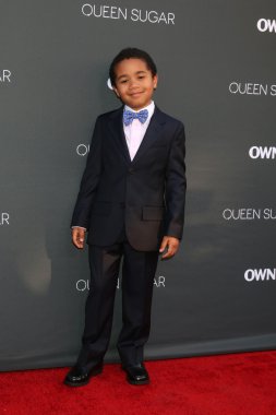 aktör Ethan Hutchison