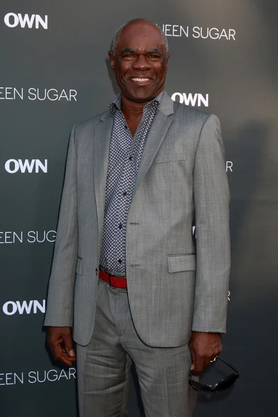 Schauspieler Glynn Turman — Stockfoto