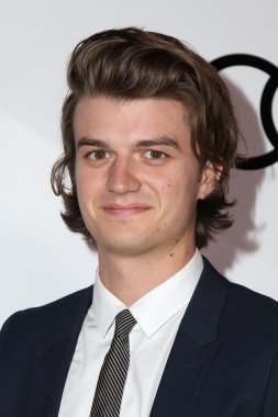 aktör Joe Keery