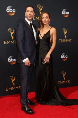 aktör David Schwimmer