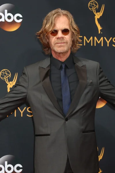 El actor William H Macy — Foto de Stock