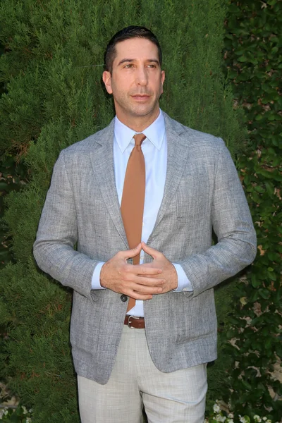 Actor David Schwimmer — Foto de Stock