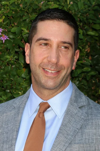 Aktör David Schwimmer — Stok fotoğraf