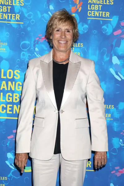 Author Diana Nyad — Stock Photo, Image