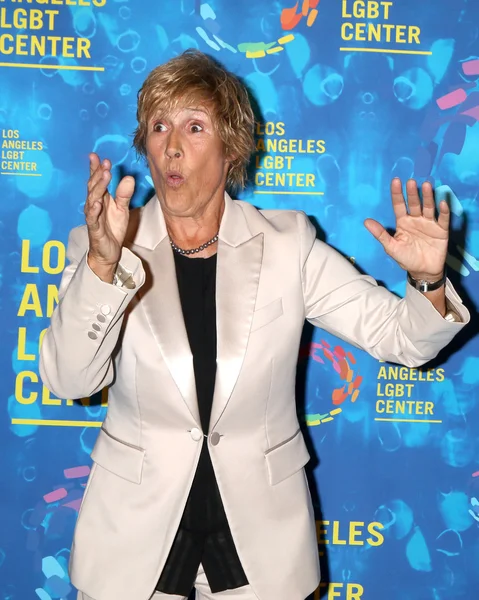 Author Diana Nyad — Stock Photo, Image