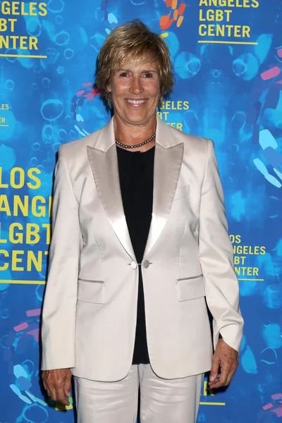 Autor Diana Nyad — Stock fotografie