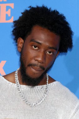 LOS ANGELES - 10 Haziran: Tasarımcı nam-ı diğer Sidney Royel Selby 10 Haziran 2021 'de Los Angeles, CA' da, Yunan Tiyatrosu 'ndaki 