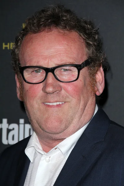 Colm Meaney — Stockfoto