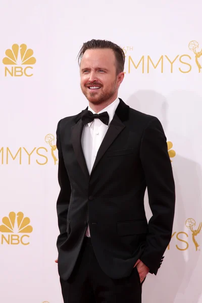 Aaron Paul — Foto de Stock