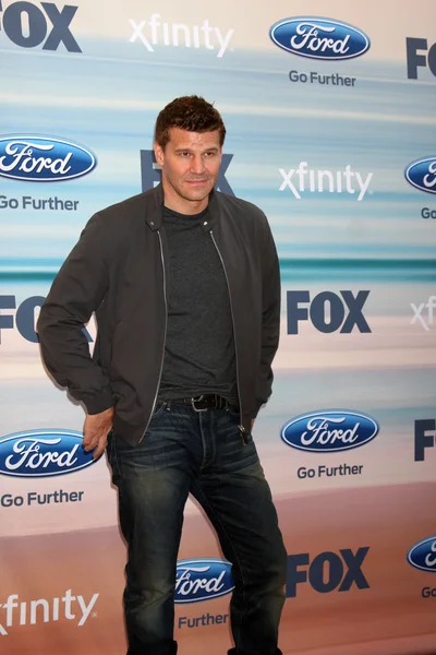 David Boreanaz. — Foto de Stock