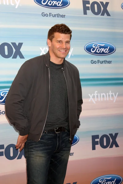 David Boreanaz — Stock Photo, Image