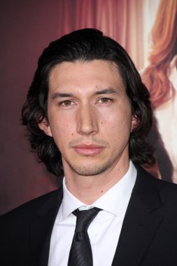 adam sürücüsü