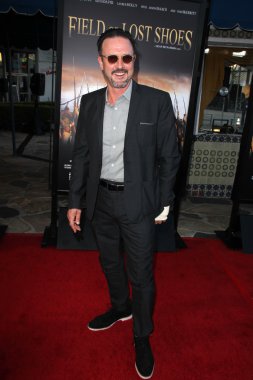 David Arquette