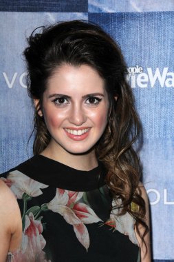 Gustaaf II Adolf van Zweden, schilderij van van dyck, 1620