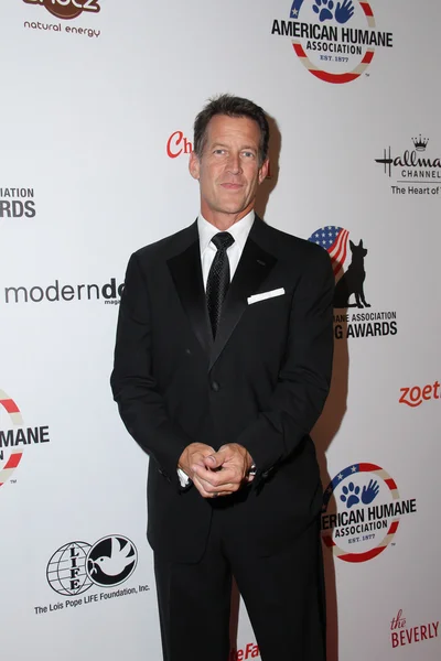 James Denton — Stock Photo, Image