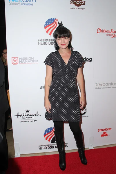 Pauley Perrette — Foto de Stock