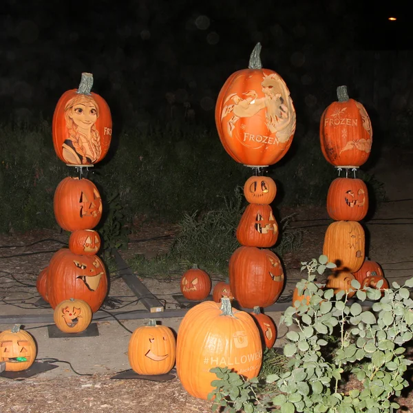 Calabazas talladas congeladas —  Fotos de Stock