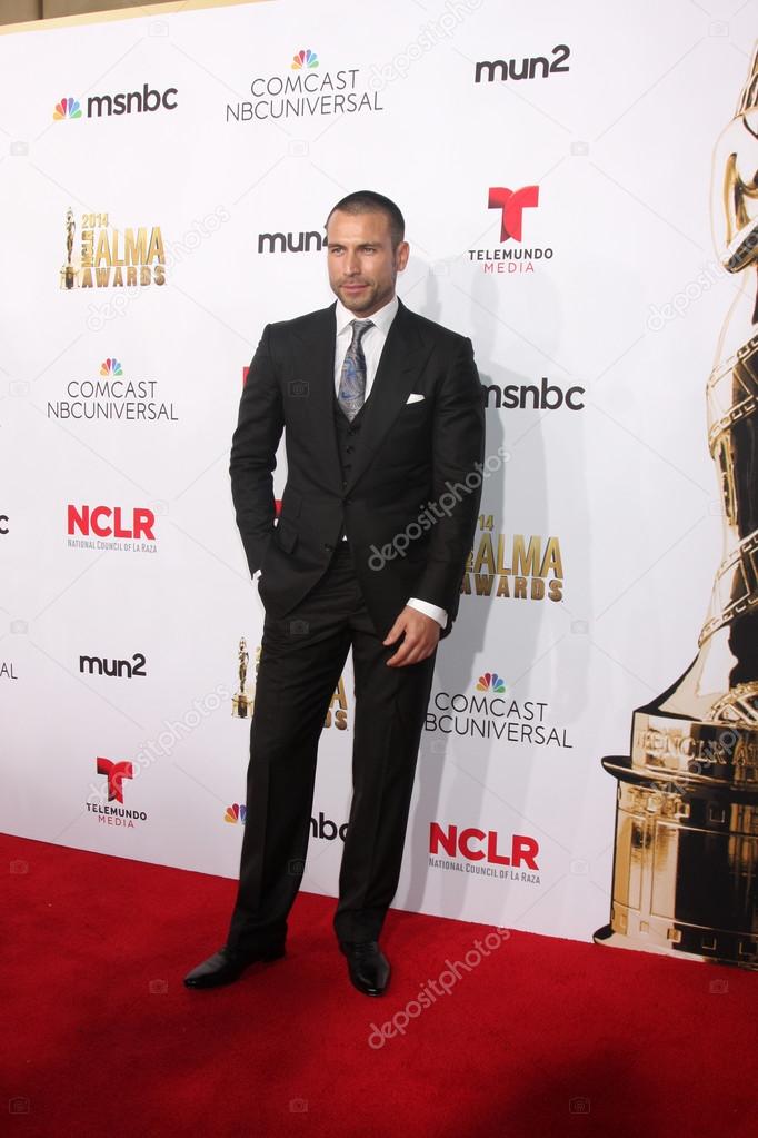 rafael amaya net worth rafael amaya net worth