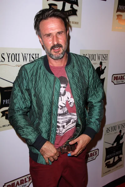 David Arquette — Stockfoto