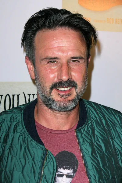 David Arquette —  Fotos de Stock