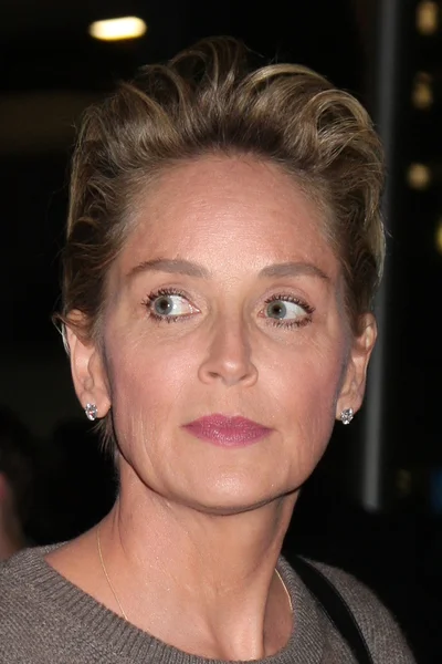 Sharon Stone — Stock Photo, Image