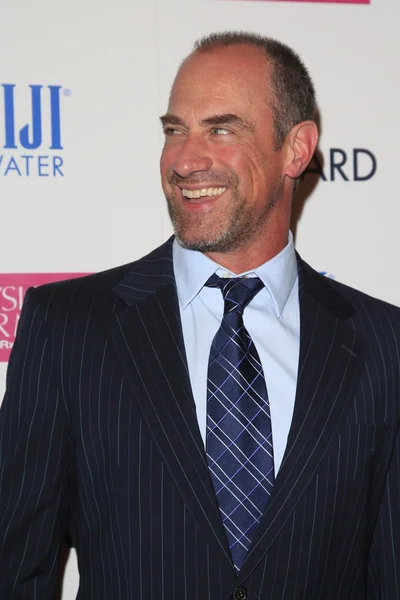 Chris Meloni — Stok fotoğraf