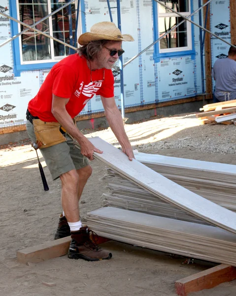 William H Macy — Stok fotoğraf