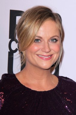 Amy Poehler