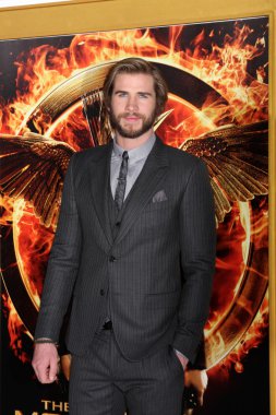 Liam Hemsworth