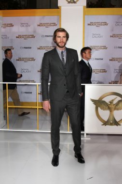 Liam Hemsworth