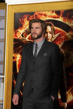 Liam Hemsworth
