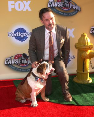 David Arquette