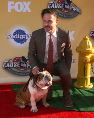 David Arquette