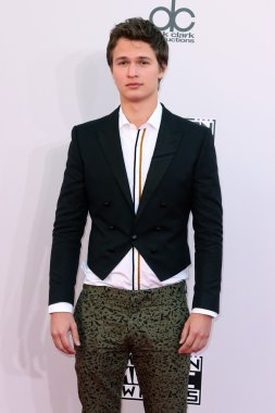 Ansel Elgort