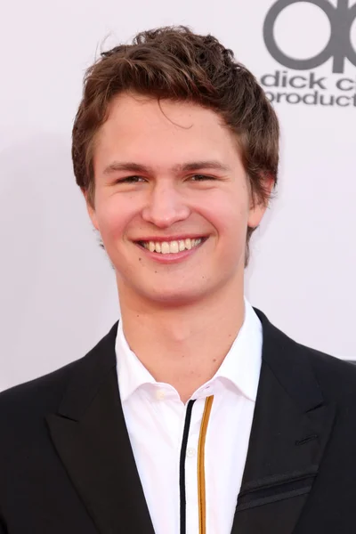 Ansel Elgort — стокове фото