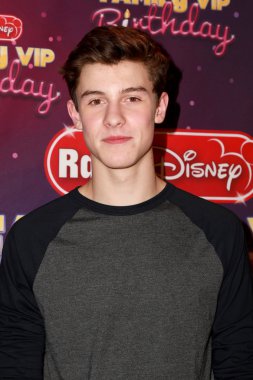 Shawn Mendes