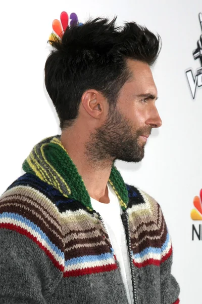 Adam Levine — Stock Photo, Image