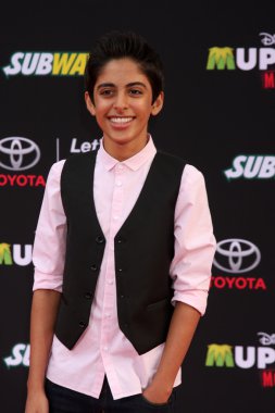 Karan Brar