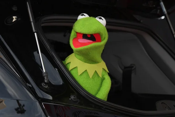 Kermit la rana —  Fotos de Stock
