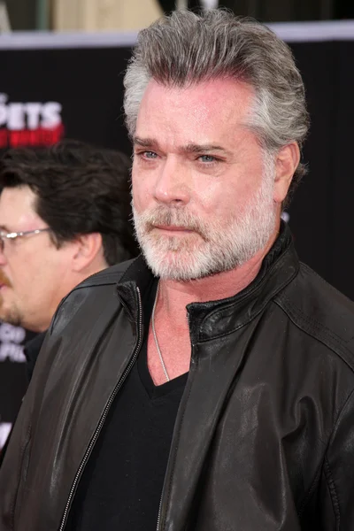 Ray Liotta. — Foto de Stock