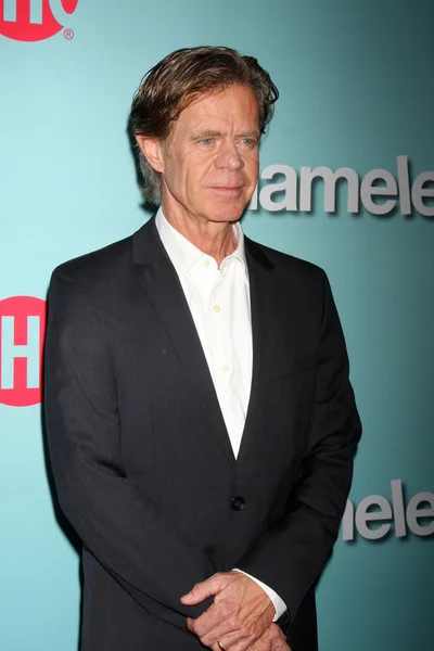 William H. Macy — Stockfoto