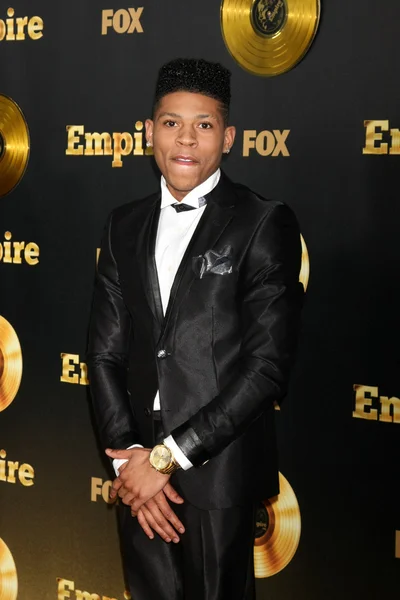 Bryshere grigio — Foto Stock